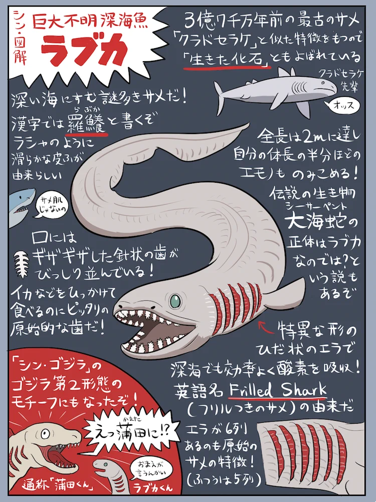 Cw5cpNWUsAAtc4Y?format=webp&