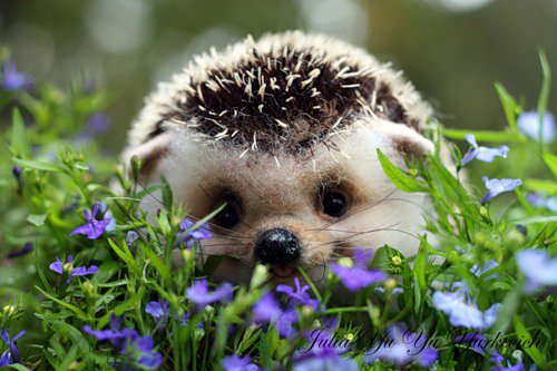Naissance De Bebe En Twitter C Est Pas Trop Mignon Ca Un Bebe Herisson Qui Tire La Langue T Co 2atrq3ruvd Naissance De Bebe En Twitter C Est Pas Trop Mignon Ca Un Bebe Herisson Qui Tire La Langue T Co 2atrq3ruvd