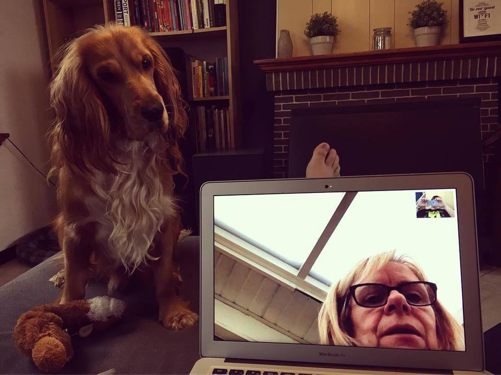 Lipkens's tweet photo. Chester listening to his grandmother! #debomma #dog #cockerspaniel #englishcockerspaniel #… https://t.co/95RivRGVBA https://t.co/DUS7OGTEd9