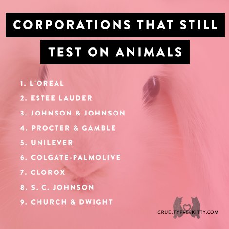 These are the main corporations that STILL test on animals. Here's the big list: bit.ly/2f7F5uj