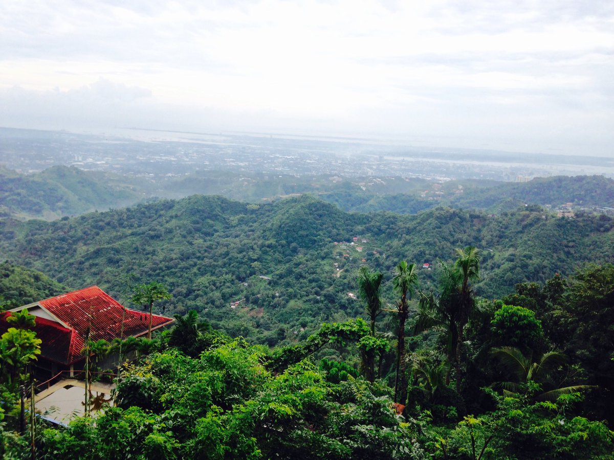 PHOTOGRAPHS2016's tweet image. 🌴🌱🍃