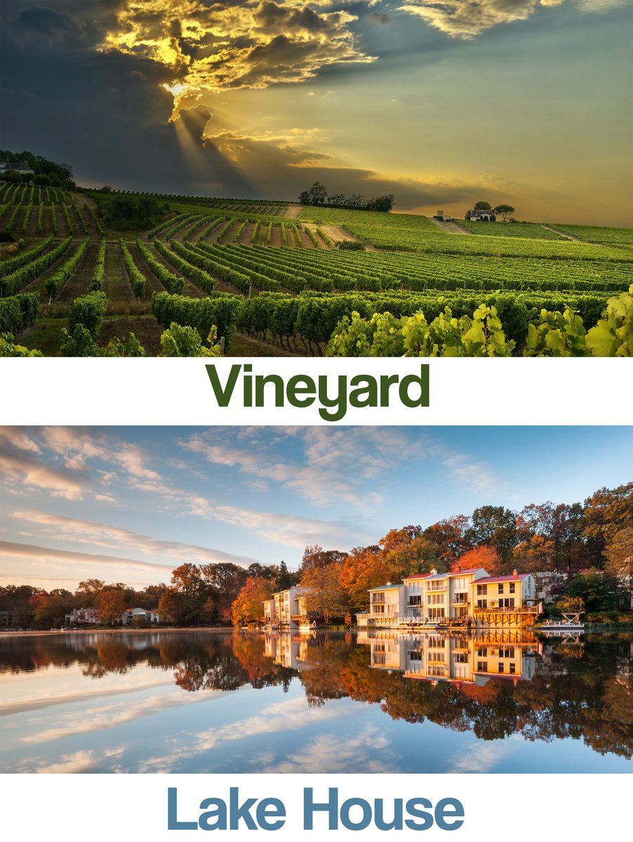GordonCorey's tweet image. Which backyard would you rather have, a beautiful vineyard or glassy lake?
