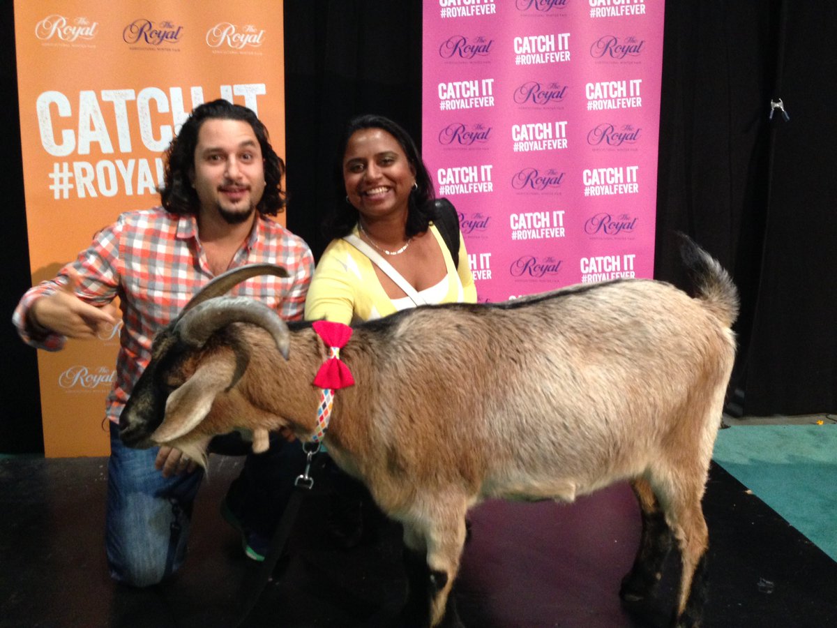 OMG! We got to meet <a href="/turbo_goat/">Turbo The Goat</a>!! Our first celebrity sighting <a href="/THERAWF/">The Royal Agricultural Winter Fair</a> #RAWF16 #rawflife