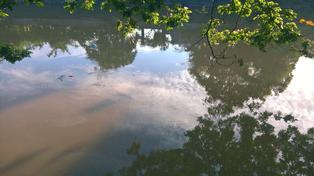 meilinanining's tweet photo. #low #medium #high #emerald #leaf #river #water #nightmode #peek #interval #glancescreen #adjust #readability #photo https://t.co/dG3zAl2zeD