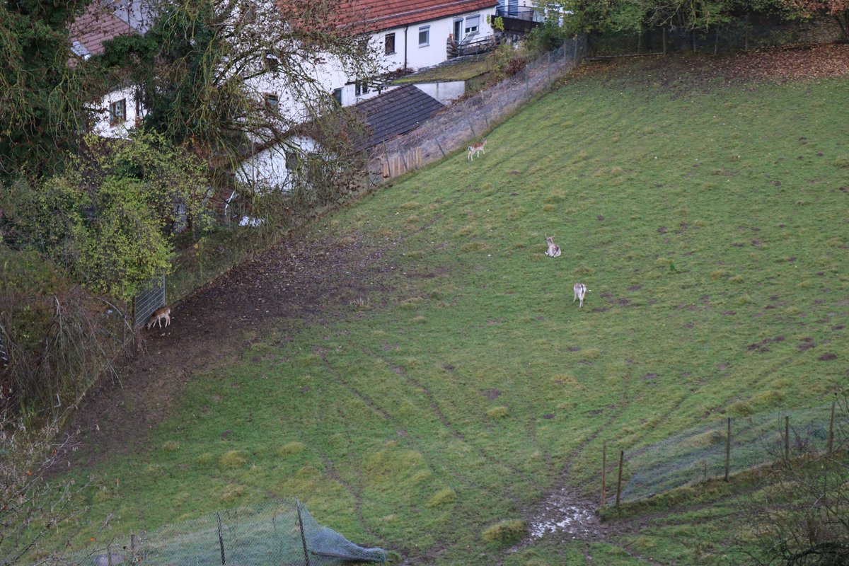 engagierteHS's tweet image. Die Gruppen arbeiten. Ein Grund das Schloss und die Umgebung zu erkunden #ehs2016 #vöhlinschloss #illertissen