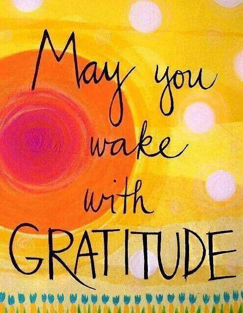 Good morning. Be grateful today.