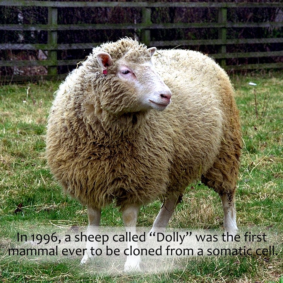 DailyRandomF's tweet image. 