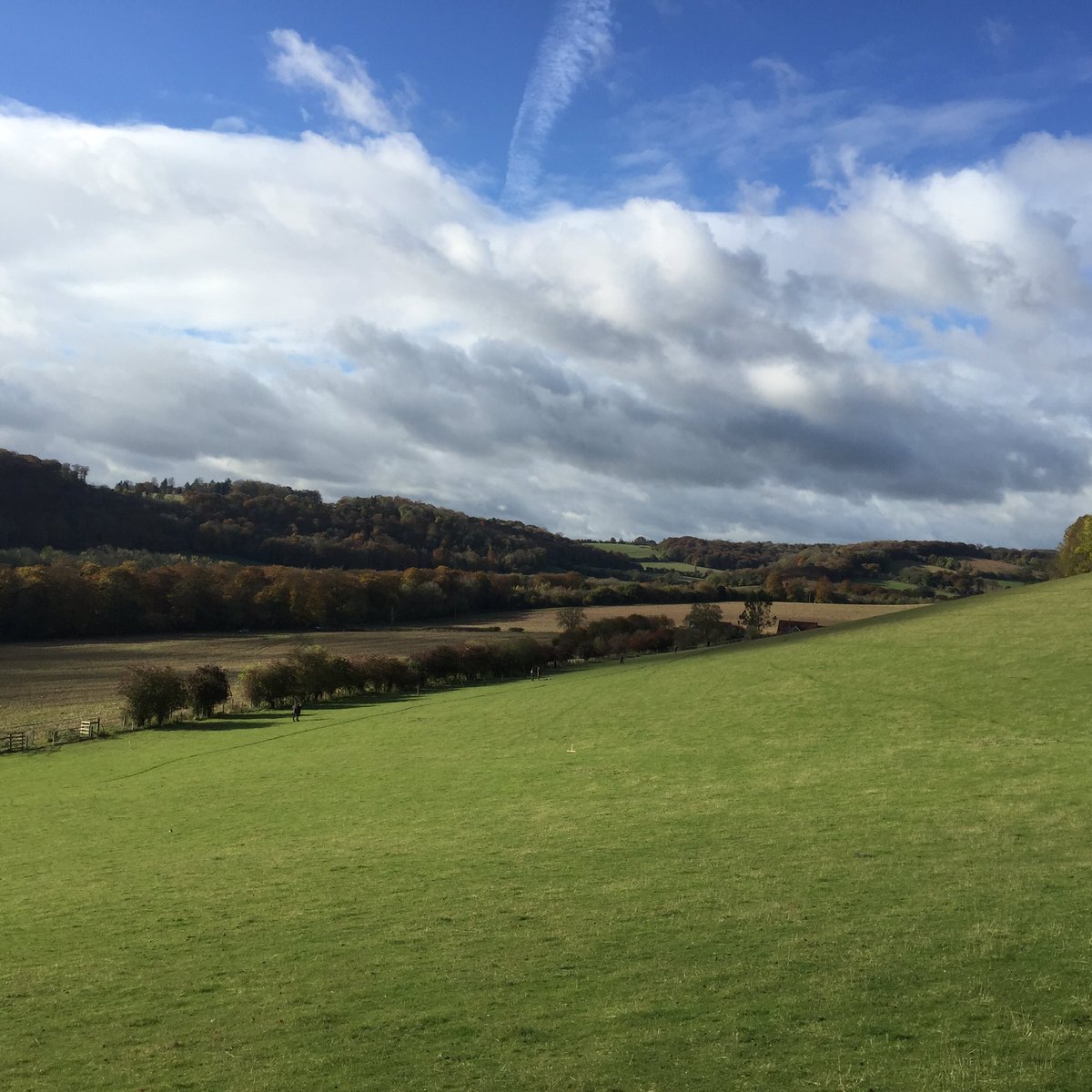 mathew_rivers's tweet photo. Wormsley Estate #Riverswoodsporting #SportingAgent #Gameshooting https://t.co/0PbVSsiQTb
