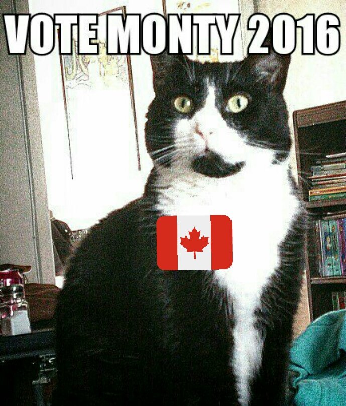 VestigialElon's tweet photo. #MakeCanadaMontyAgain #FeelThePurrEh #MapleCat https://t.co/HZH5nWUEXY