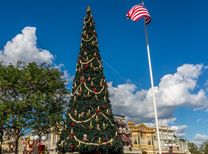 easywdw's tweet photo. Here's a post that includes 50+ pictures of Main Street decked out for the holidays: https://t.co/XuIKA5cW8x https://t.co/Ov0oTupS8Q