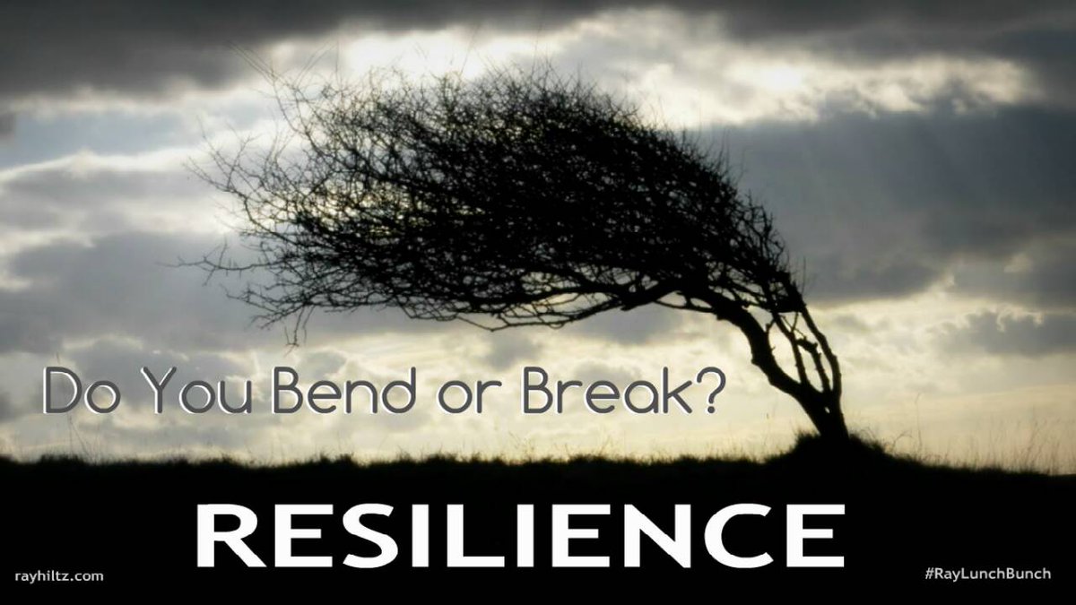 LLERO_ONLINE's tweet photo. Good day #LLEROs. After we grieve we show the world what were made of. #LL #latino #resilience https://t.co/WRPBJFaYdj