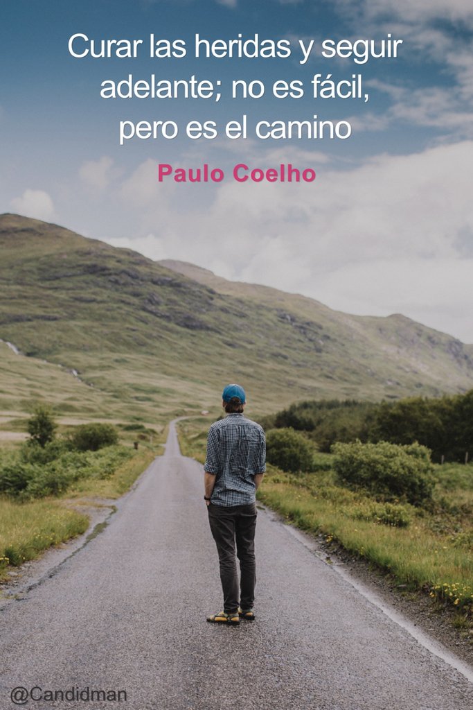 colmenasm's tweet photo. Curar las heridas y seguir adelante; no es fácil, pero es el camino – Paulo Coelho #Colmen… https://t.co/I7V6fsQk2x https://t.co/y7yGsr6IKf