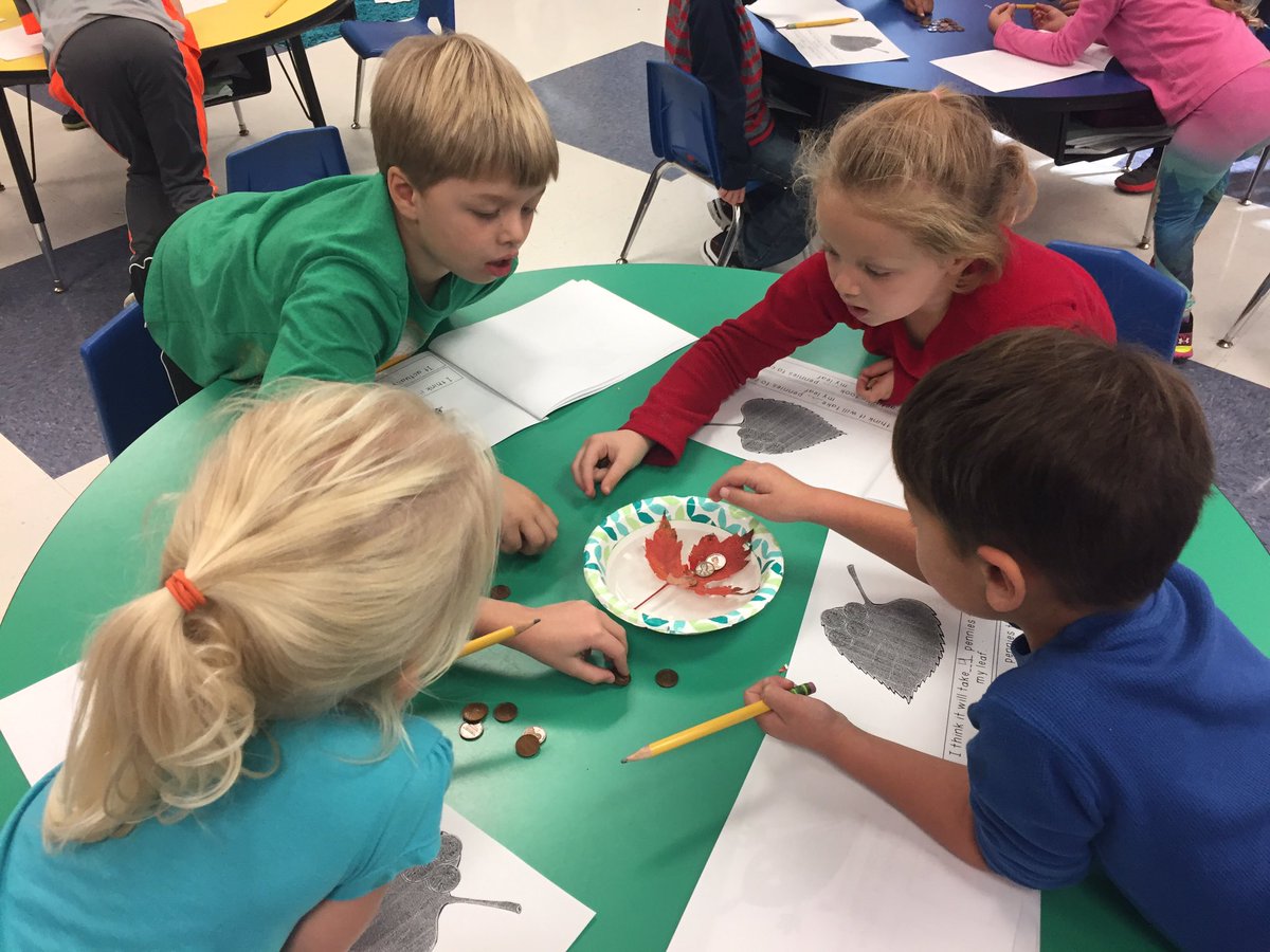 Practicing making predictions and cooperation during our leaf experiments today! So much fun!@mem76rt