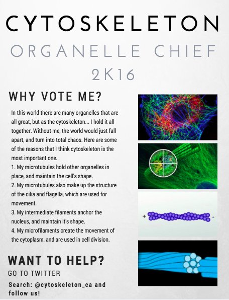 cytoskeleton_Ca's tweet photo. #AOWars2k16 https://t.co/0YPhOHHHhk