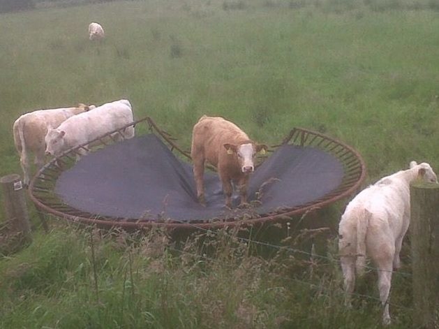 BeWarmers's tweet image. If the John Lewis Christmas ad was set in Ireland 😂

#JohnLewisAdvert