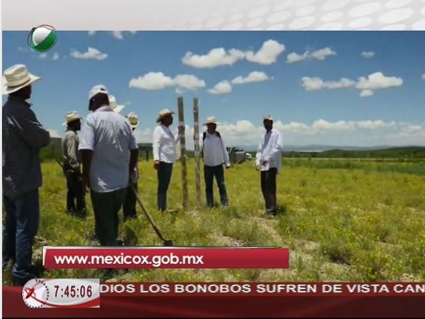 NuevaEscuelaMx's tweet photo. ▶️@SAGARPA_mx ofrece el #MoocMX Agricultura Familiar: Transformaciones y Perspectivas en #MexicoX. ¡Inscríbete! 💻🖥 https://t.co/OEgDICDIhi https://t.co/lxU6PGmIG7