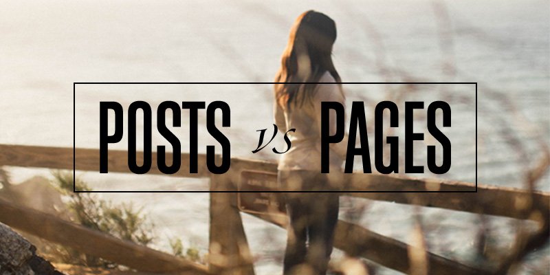BrightBrainLLC's tweet photo. New to #WordPress? Need to better understand #posts and #pages? Get the facts in this article for beginners. https://t.co/9mlXQMxBdz https://t.co/IJGWKECN2t