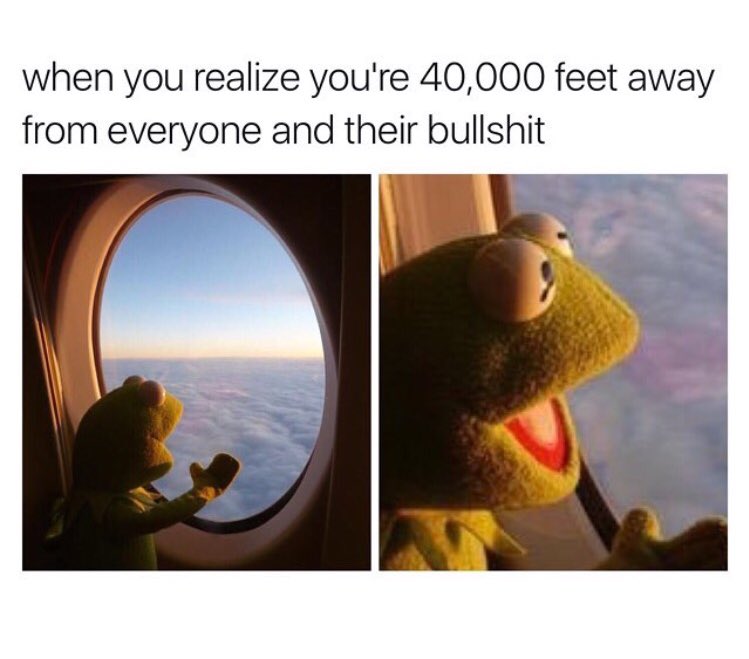 MeredithFrost's tweet image. 