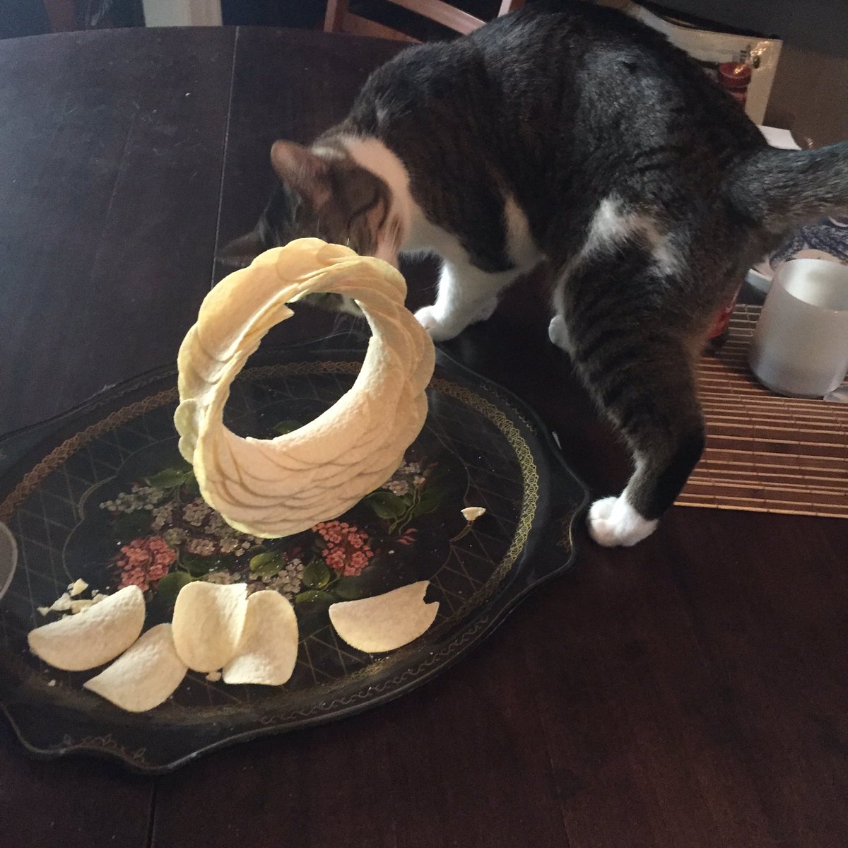 ScopesMonkeys's tweet image. This thing is surprisingly stable!  #PringlesRingle