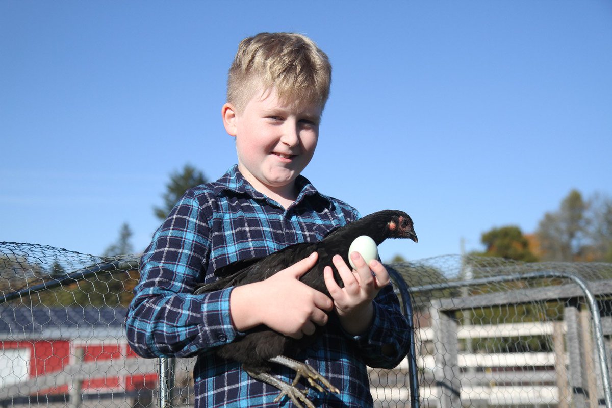 jpantonacci's tweet photo. 10-year-old egg farmer Conor Dooney hatched a business plan &amp; is building his nest egg https://t.co/WcLZdTNedB @EggsManagement @DooneyRanch https://t.co/BuPLtxLHbk