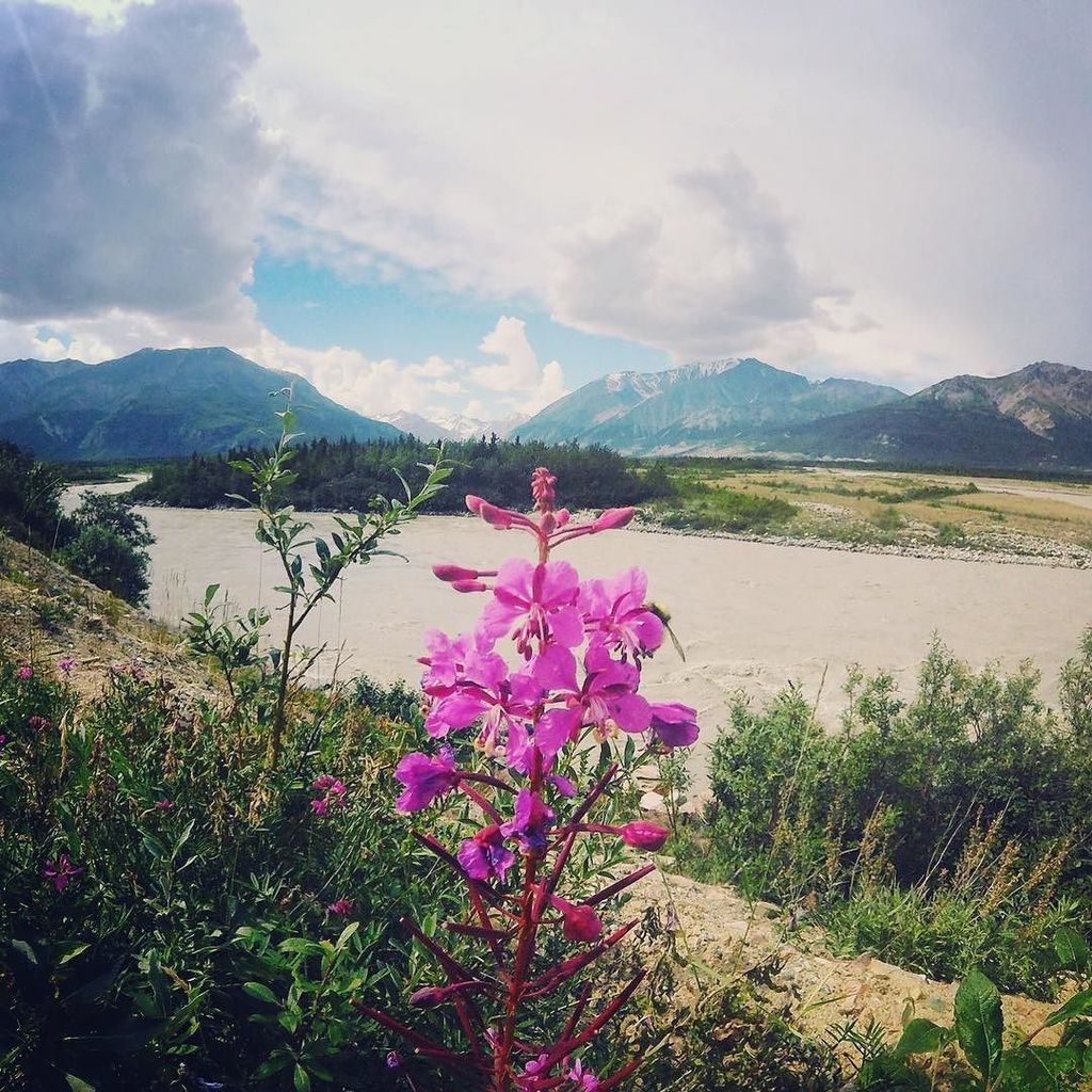 SoGuideFrance's tweet photo. #backpacker #camping #tourism #travelling #trek #alaska #travel #voyage #soguide #vacances #beautiful #colors https://t.co/Rws8o872Fs