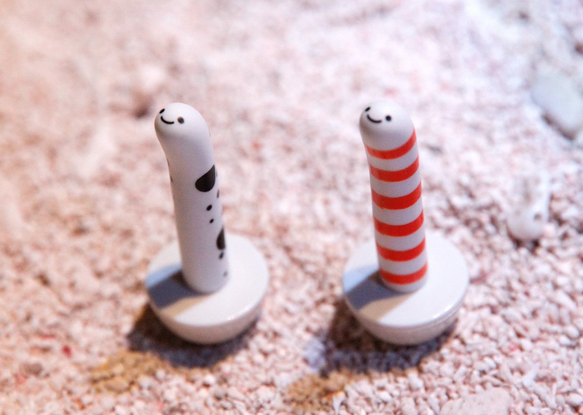 チンアナゴ ポッキーの日で盛り上がっているようですが私たちも忘れないでください チンアナゴの日 Togetter チンアナゴ ポッキーの日で盛り上がっているようですが私たちも忘れないでください チンアナゴの日 Togetter