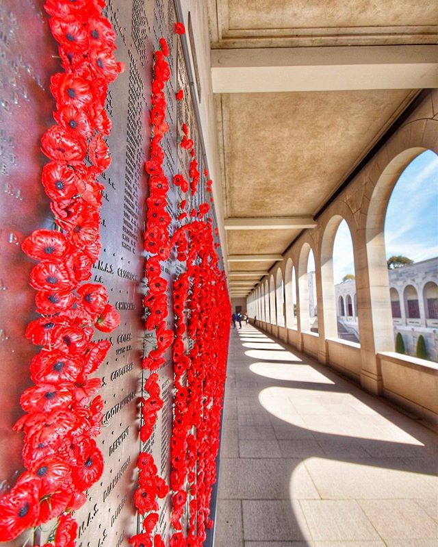 Australia's tweet photo. Lest we forget #RemembranceDay https://t.co/C3yKImB0xd (Photo via IG/firemanheath at @AWMemorial) https://t.co/mQaazR4Mh7