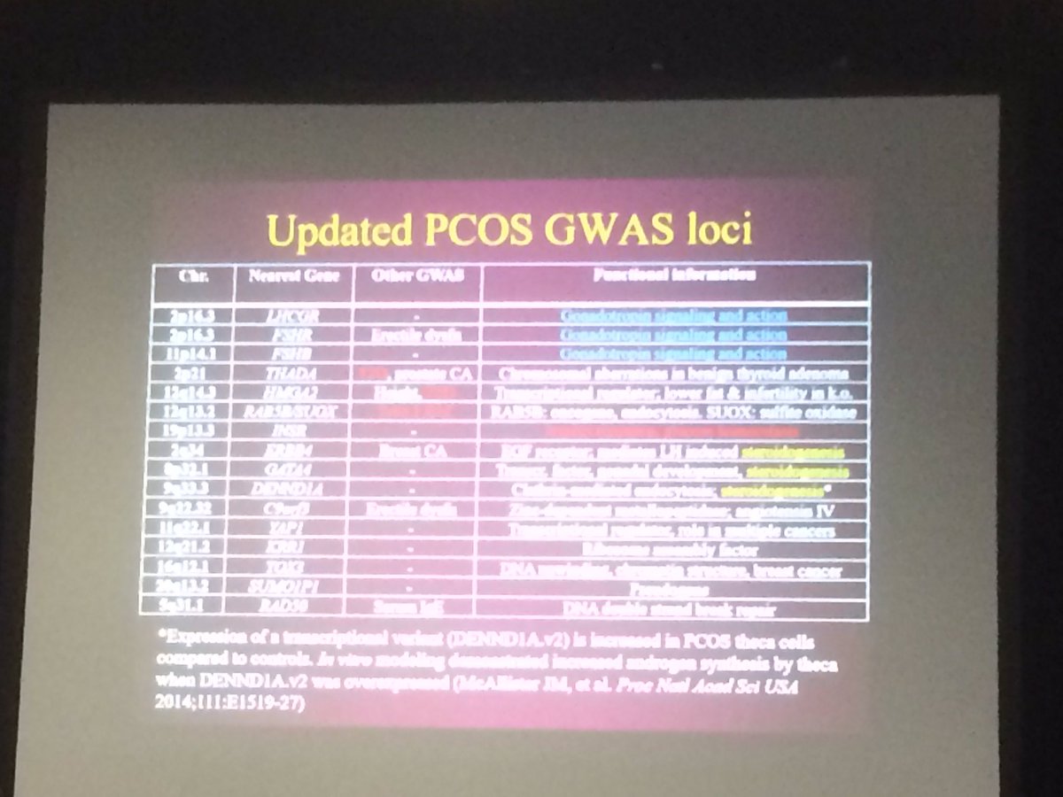 rnorman02's tweet photo. Mark Goodarzi genetics of PCOS - GWAS shows many genes and concentration on neuroendocrine factors but little racial variation https://t.co/WGeuU4rqOM