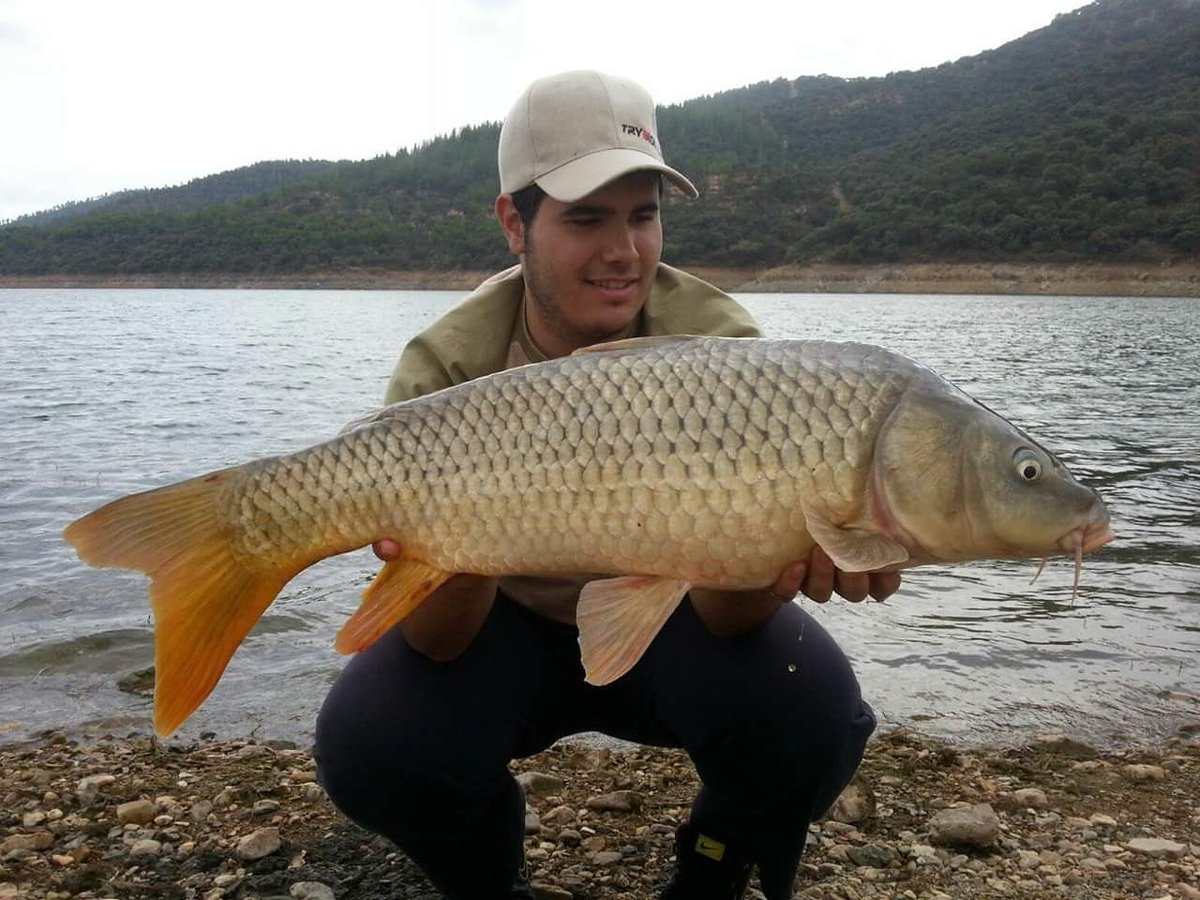 Trybion fishing (@trybionfishing) on Twitter photo 