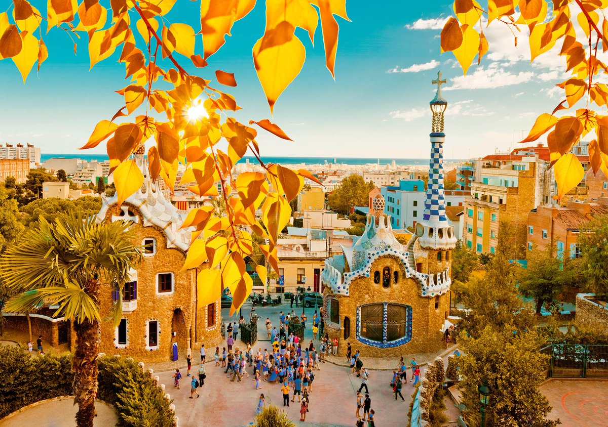 Lori Mills Merck (merck_lori) Twitter