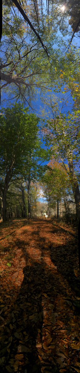 Mind of the earth.. creating public spaces that enrich urban life, while creating moments and opportunities to learn.. #WolfRiverGreenway