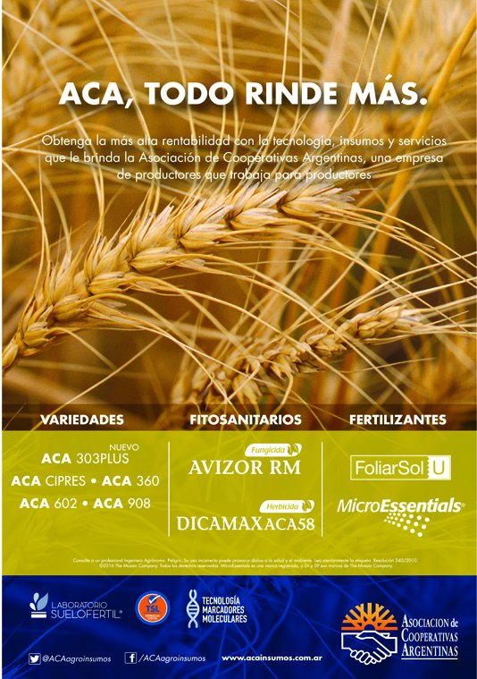 ACAcoop's tweet photo. #TrigosACA la mejor combinación de rendimiento, calidad y sanidad asegurando altos rindes y un excelente comportamiento a campo #Trigo2016 https://t.co/uYHI4bHXAo
