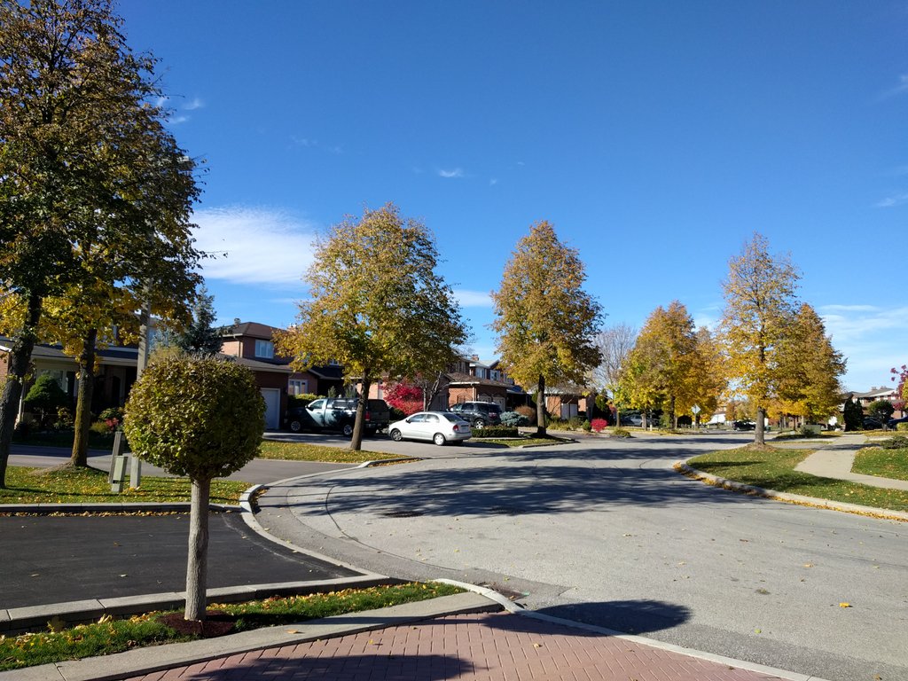 vaughanweather's tweet photo. Another amazing November day! 17C / 63F under sunny skies just north of #Toronto in #Vaughan #onstorm #endlessfall #warmweather #wx #nosnow https://t.co/dBV84PpdjA