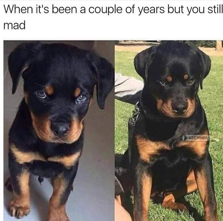it s been a few