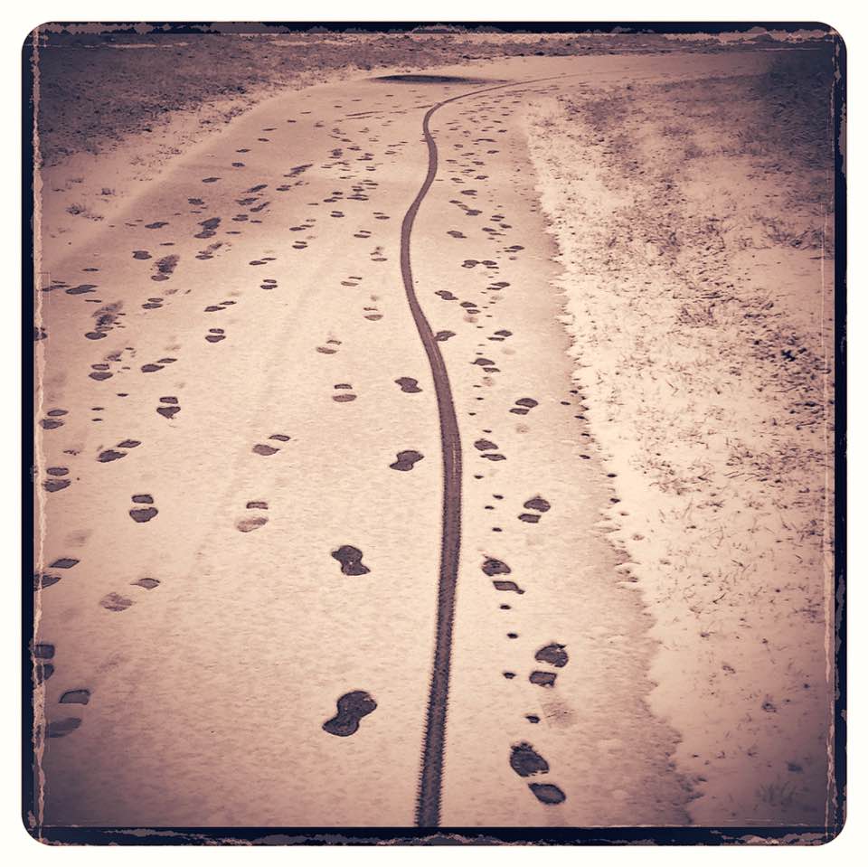 shotworldwide's tweet image. I met snake with legs this morning.... #SnakeWithLegs