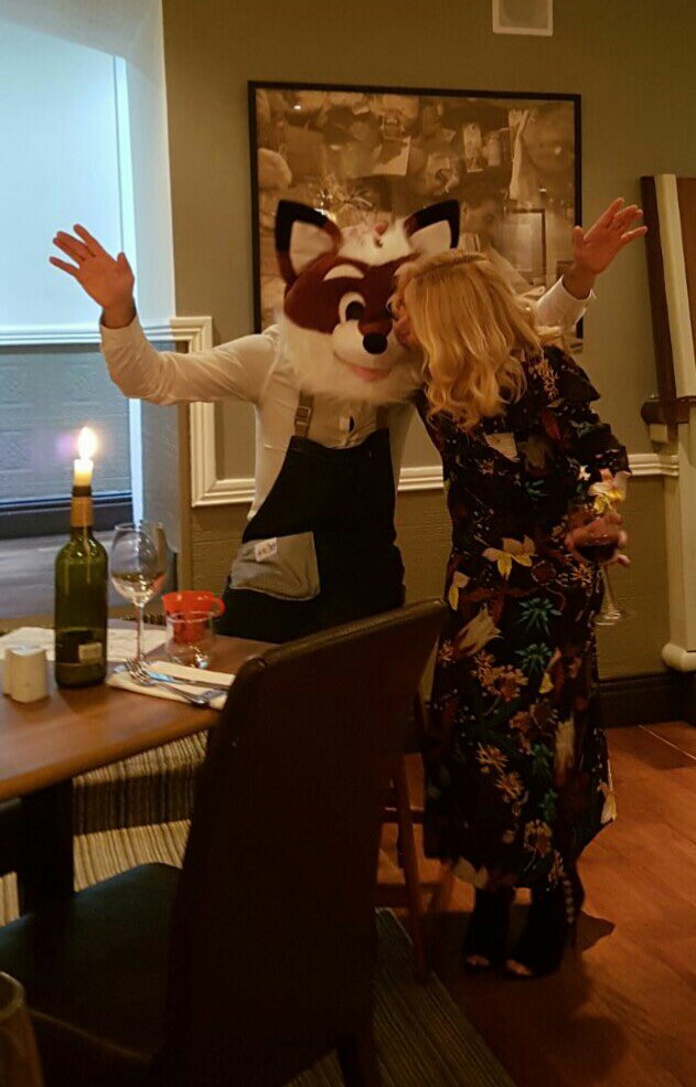 The Fox seems to be using the mistletoe to his advantage! #SlyFox #Christmas #ChristmasCheer