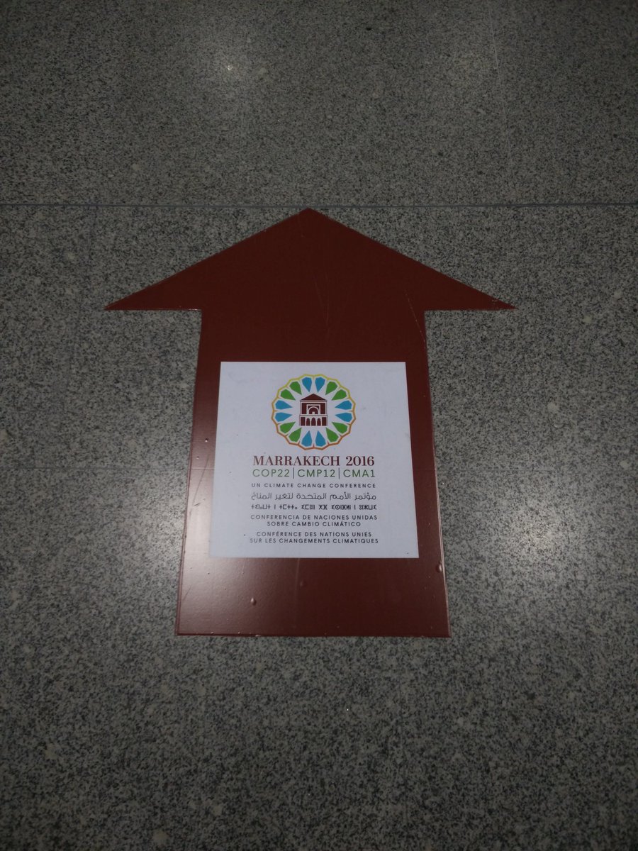 Francesco Maurelli (@oo0franmau0oo) on Twitter photo Sukcese atingis la flughavenon de Casablanca... dua vizito al Maroko ekas! <a href="/tejoesperanto/">TEJO Esperanto</a> #ICMYO #TEJO-KER #COP22 Sukcese atingis la flughavenon de Casablanca... dua vizito al Maroko ekas! <a href="/tejoesperanto/">TEJO Esperanto</a> #ICMYO #TEJO-KER #COP22