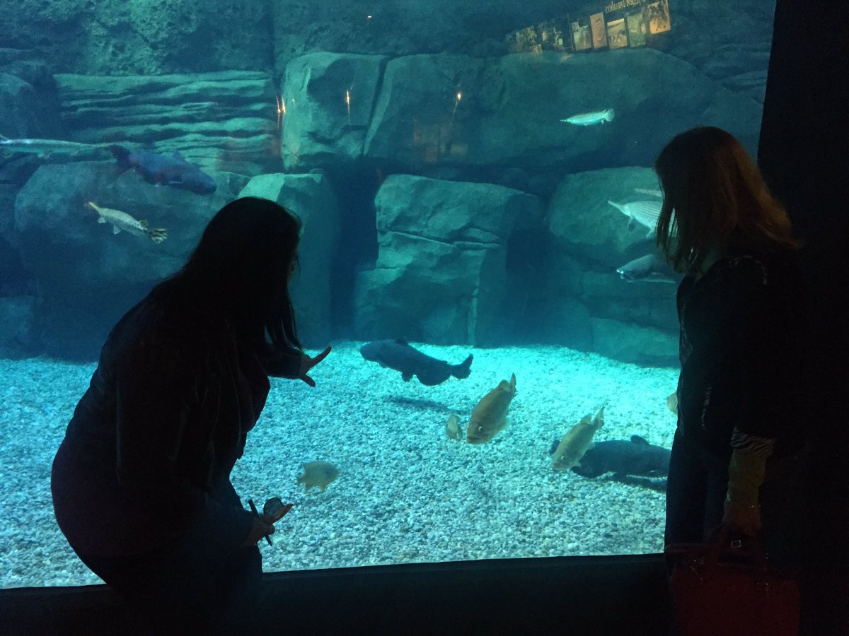 Look we found two catfish! #LeadershipHuntCZBG