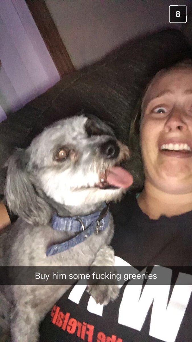 the716house's tweet photo. shoutout to @paige__phillips for donating Oliver some doggie breath mints for his birthday today!! https://t.co/P1wtVavh8N