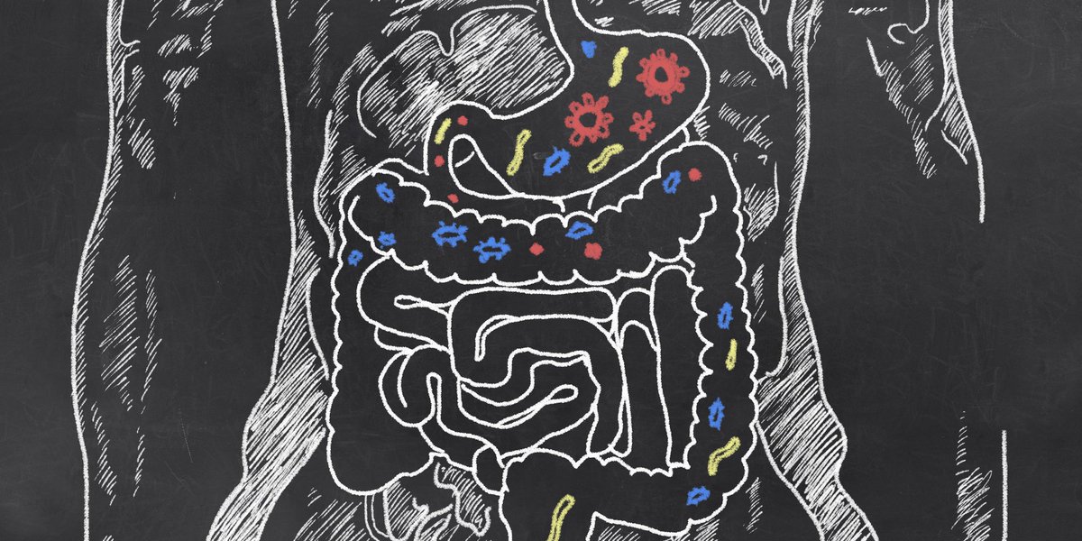 TheScope's tweet photo. How "psychobiotics" harness the power of gut bacteria to treat mental illness https://t.co/rVVid7fAxj https://t.co/qdcbfO5nI2