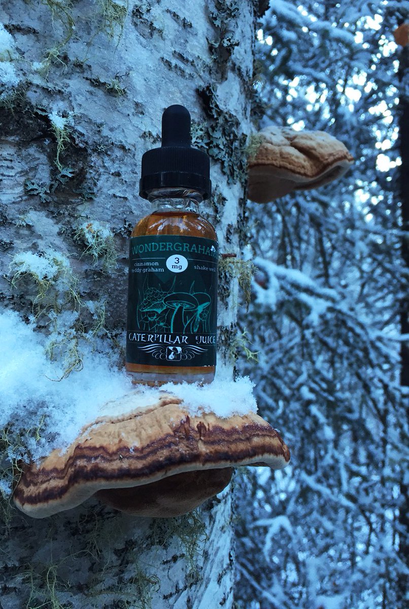 CaterpillarEj's tweet photo. Put some #wonder in your Mondays. #MondayMotivation #winterwonderland #vapelife https://t.co/2ldzjhyYEt