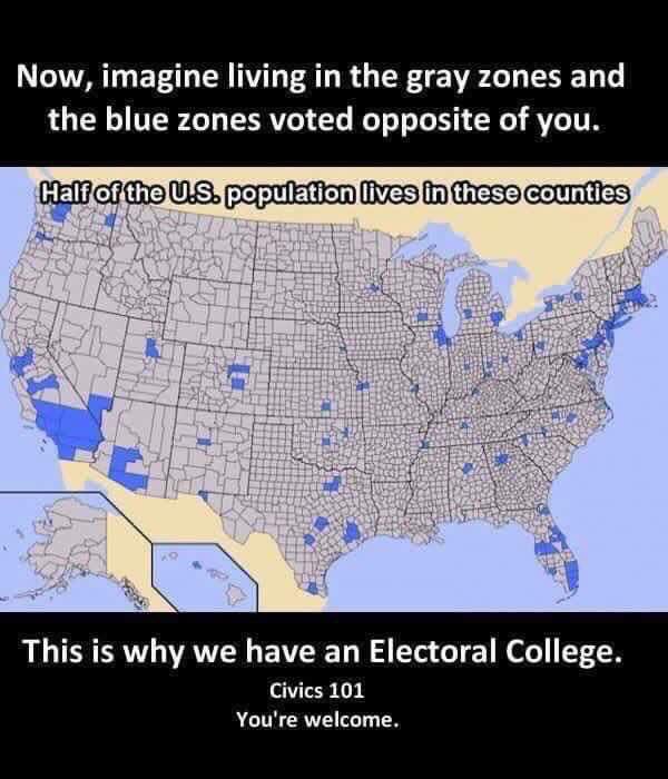 dougiesant's tweet image. The founding fathers weren't stupid people ( my brothers) They set up the electoral college for a reason.