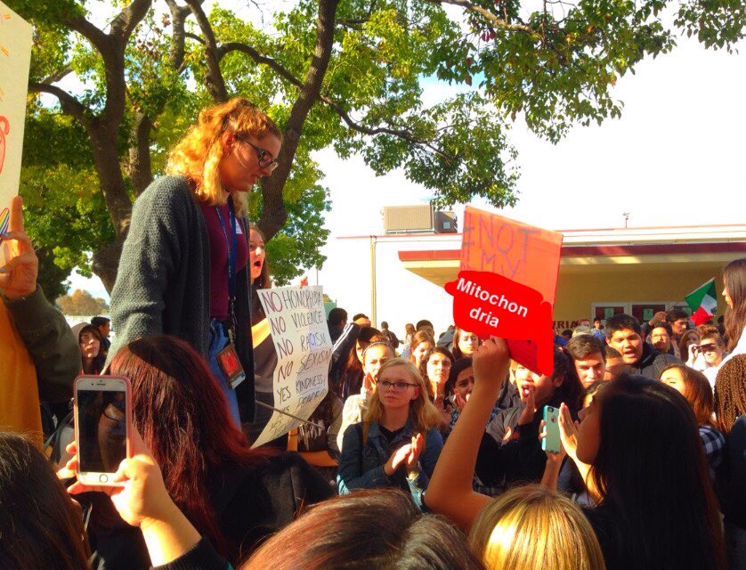 Clarissa Hurst (clarissa_hurst) Twitter