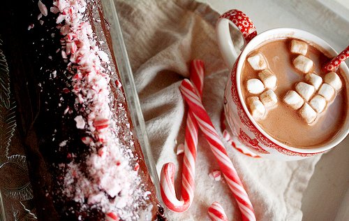 The Engine Room tweet media