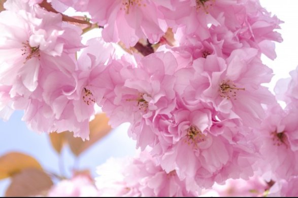 QuestionDeJour's tweet image. Have you listened in silence to what emerges from within? When the chatter slows and stops, what emerges then?