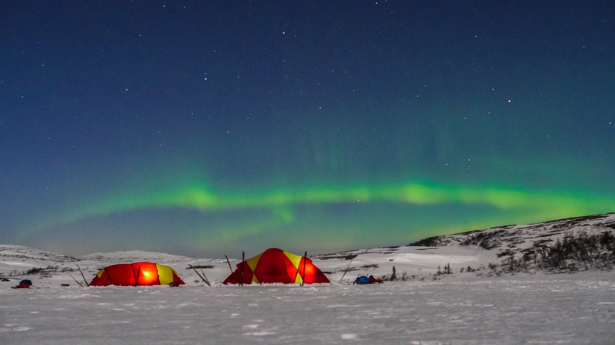 WildNorwayAdv's tweet photo. We love our home away from home, especially under the magical northern lights. #WinterMoreFun #WildNorway https://t.co/2doXncvNXo