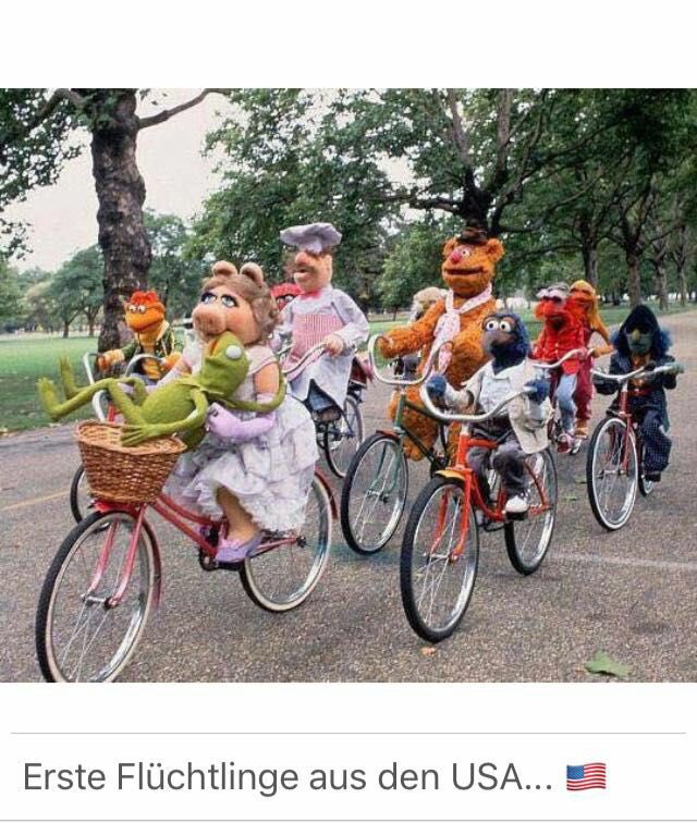 America empty again?
#trumpet
#cermitontherun