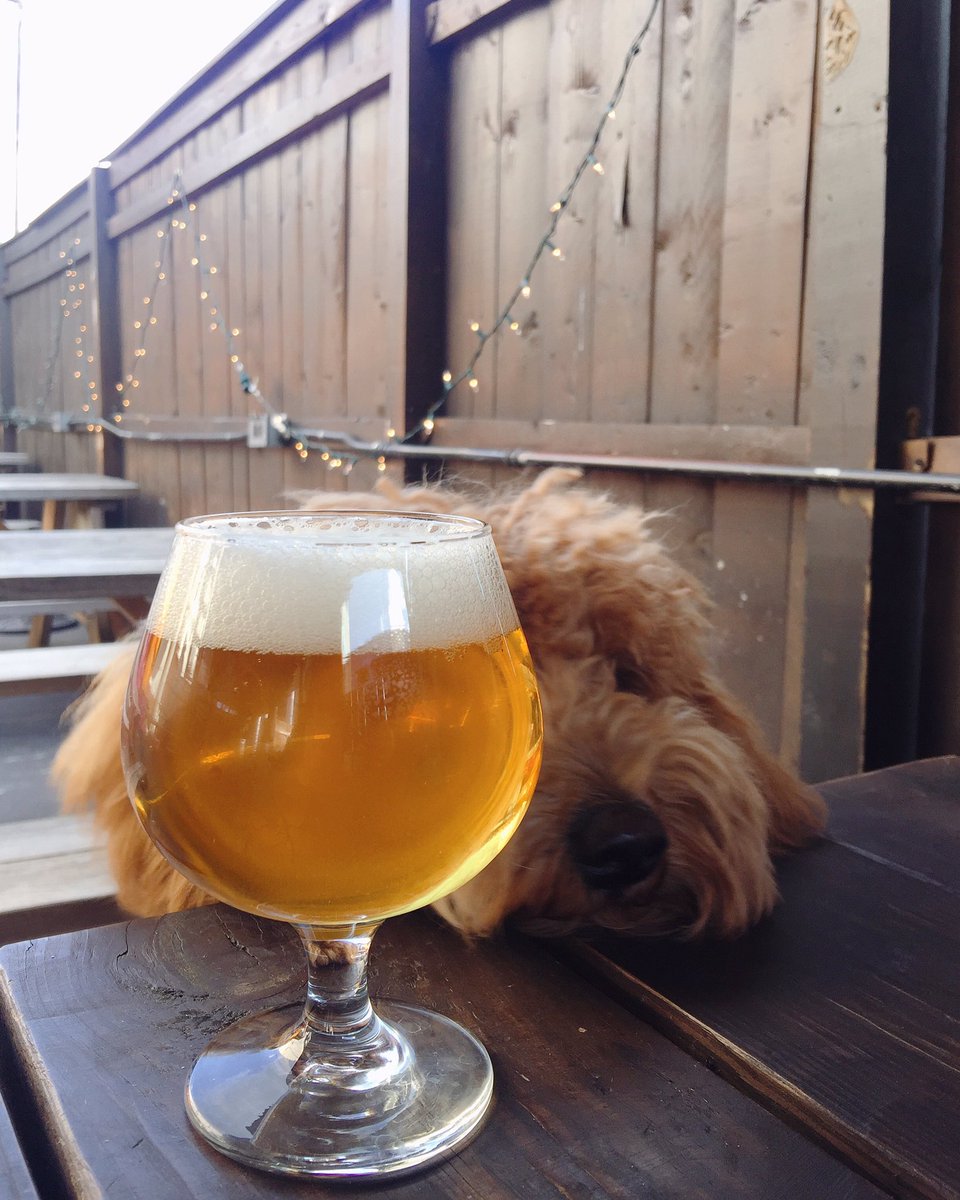 Quarry House (@quarryhousetvn) on Twitter photo #PupsOnThePatio tonite! Bring that cutie & drink! #dtss #silverspring <a href="/dchappyhours/">DC Happy Hours</a> #bythings #dcbars ๐บ๐ถโค๏ธ #PupsOnThePatio tonite! Bring that cutie & drink! #dtss #silverspring <a href="/dchappyhours/">DC Happy Hours</a> #bythings #dcbars ๐บ๐ถโค๏ธ