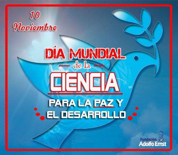 Fundae Zulia tweet media