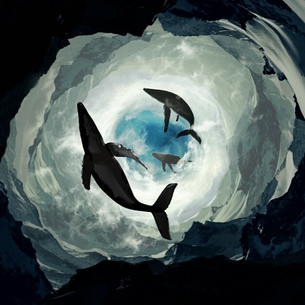 nicolas2389's tweet photo. A symphony of the ocean #roundthingseffect #illustration #photoshop #adobe https://t.co/yFsRrgWL6o